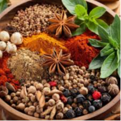 Spice Seeds Exporters, Wholesaler & Manufacturer | eximnext.com