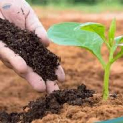 Soil Conditioners Exporters, Wholesaler & Manufacturer | eximnext.com