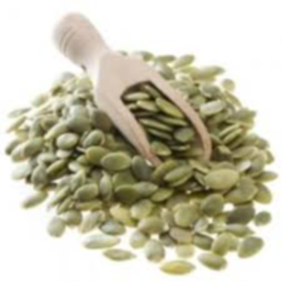 Pumpkin Seeds Exporters, Wholesaler & Manufacturer | eximnext.com