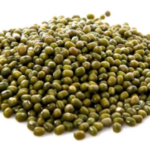 resources of Green Mung exporters