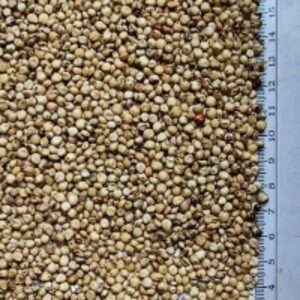 resources of Sorghum exporters