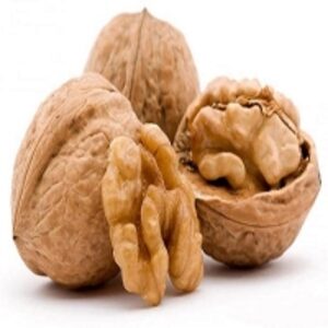 resources of Walnut exporters