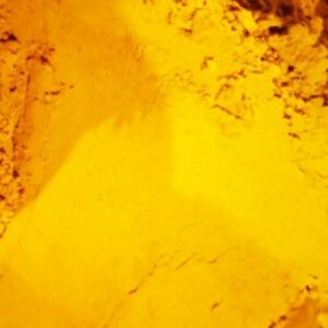 resources of Turmeric exporters