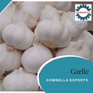 resources of Garlic exporters