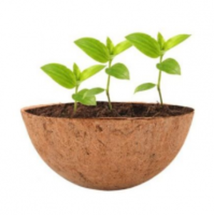 resources of Coco Liner exporters