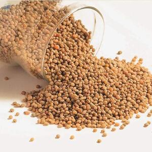 resources of Sorghum exporters