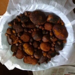 resources of Cattle Gallstones, Cow Gallstones exporters