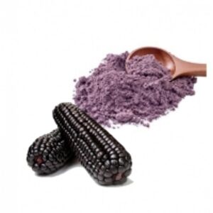 resources of Purple Corn Powder exporters