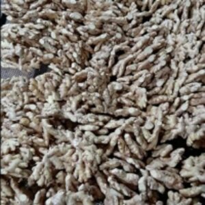 resources of Ginger exporters