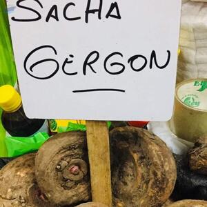 resources of Jergon Sacha Powder exporters
