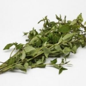 resources of Muna (Minthostachys Mollis) exporters