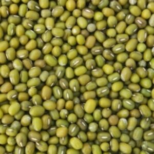 resources of Moong Bean exporters