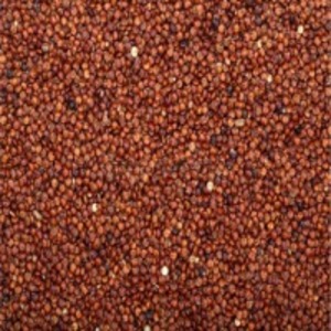 resources of Red Quinoa exporters
