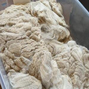 resources of Alpaca Wool exporters