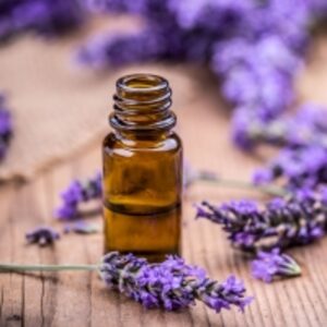 resources of Lavander Oil exporters