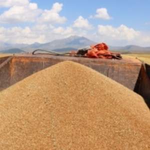 resources of Wheat exporters