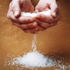 resources of Salt exporters