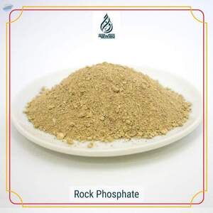 resources of Rock Phosphate exporters