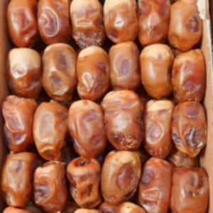 resources of Dates exporters