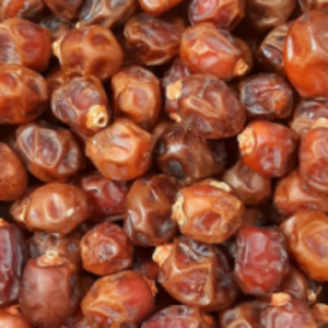 resources of Dates exporters