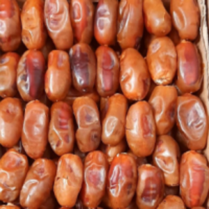 resources of Dates exporters