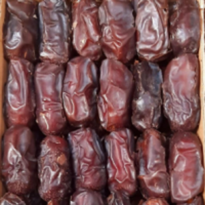 resources of Dates exporters