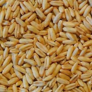 resources of Peeled Oats exporters