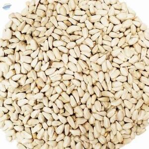 resources of Saflowers Seeds exporters