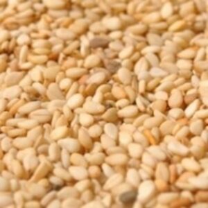 resources of Watermelon Seeds exporters