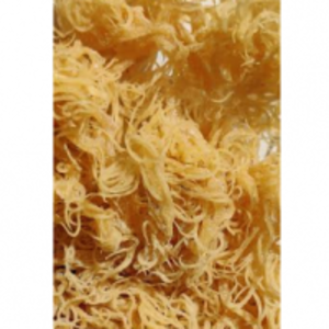 resources of St Lucian Gold Dried Seamoss exporters