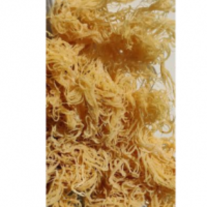 resources of St Lucian Gold Dried Seamoss exporters