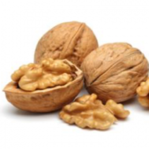 resources of Walnuts exporters