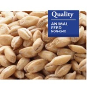 resources of Barley exporters