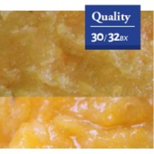 resources of Apple / Pear Puree exporters