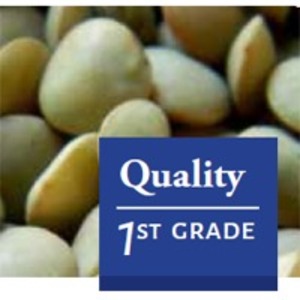 resources of Green Lentils exporters