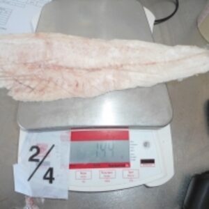 resources of Hake Hubbsi exporters