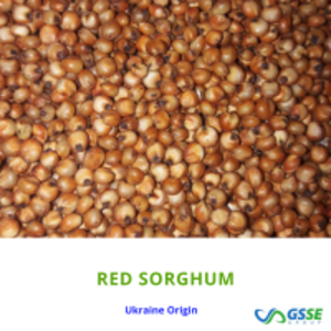 resources of Sorghum Red exporters