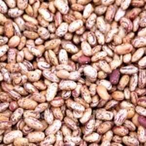 resources of Small Reddish Bean exporters