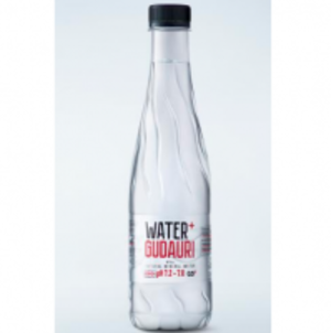 resources of Water Gudauri 500Ml exporters