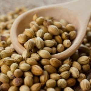 resources of Coriander Seeds exporters