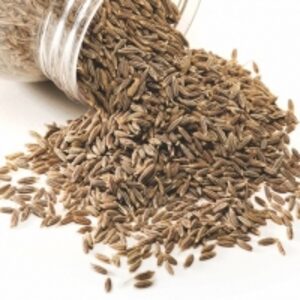resources of Pure Cumin Seeds exporters