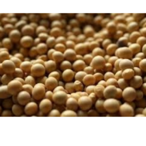 resources of Brazilian Soybean exporters