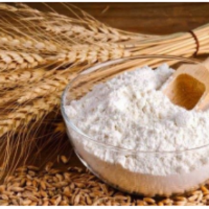 resources of Wheat exporters