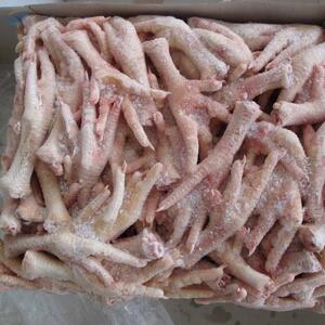 resources of Grade A Frozen Chicken Paws exporters