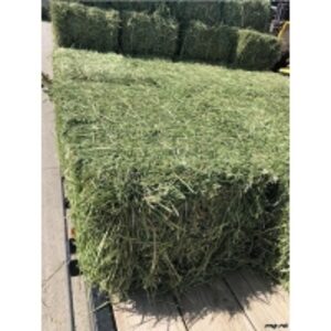 resources of Hay Pallets For Sale exporters