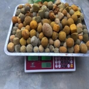 resources of Cow Ox Gallstones exporters