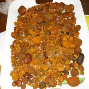 resources of Grade A Ox Gallstones exporters