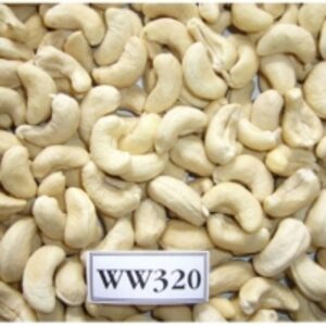 resources of Cashew Nut Kernels exporters