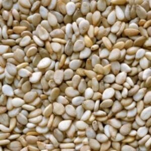 resources of Kenyan Wholesale Sesame Seeds exporters