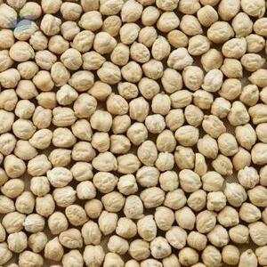 resources of Chickpeas exporters